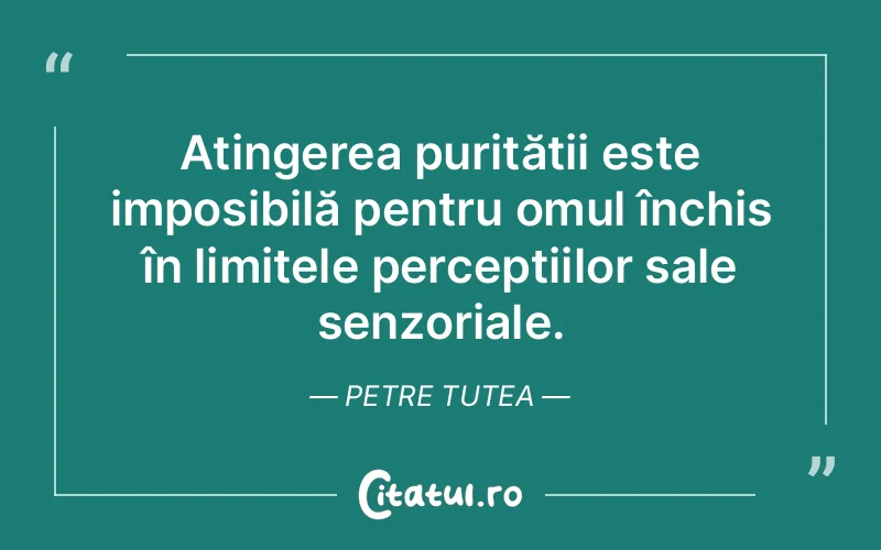 Citat Petre Tutea - citate oameni