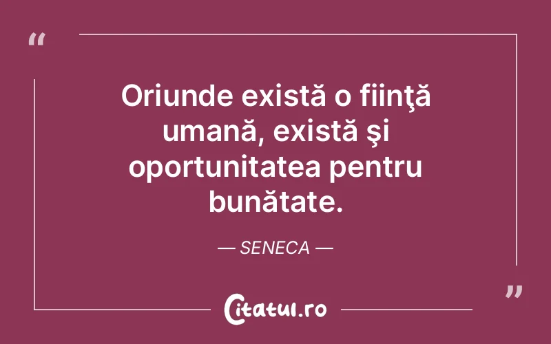Citat Seneca - citate oameni