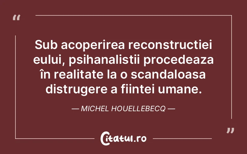 Citat Michel Houellebecq - citate oameni