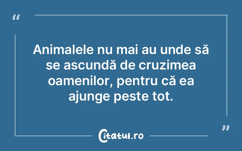 Citat Autor necunoscut - citate oameni