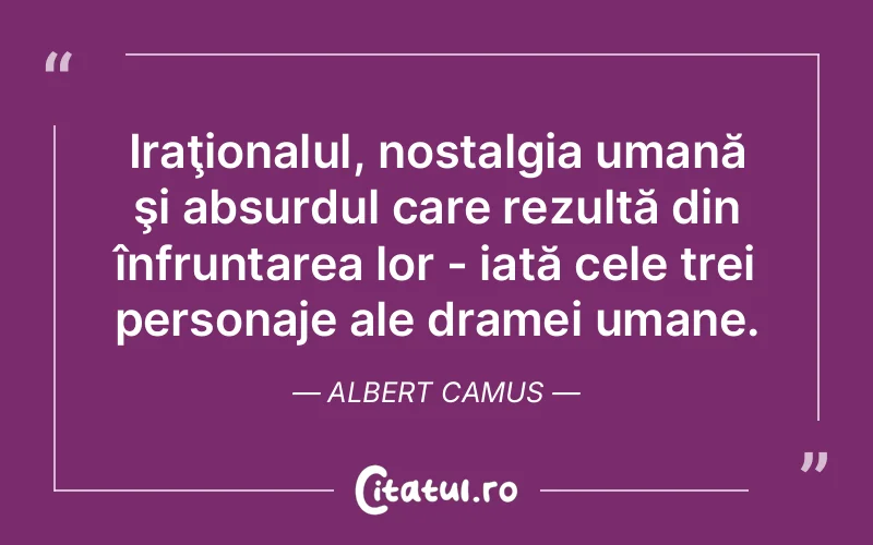 Citat Albert Camus - citate oameni