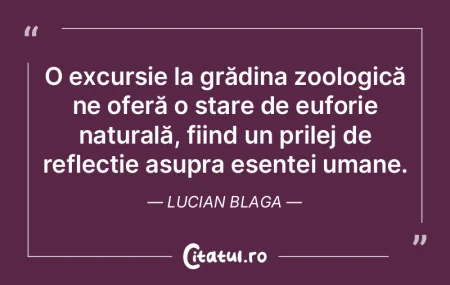 Cândva existase doar Al Cincilea Munte.... Cândva existase doar Al Cincilea Munte....