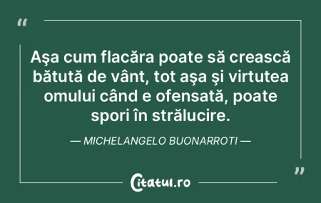 Virtutea este ca sănătatea: armonia om...
