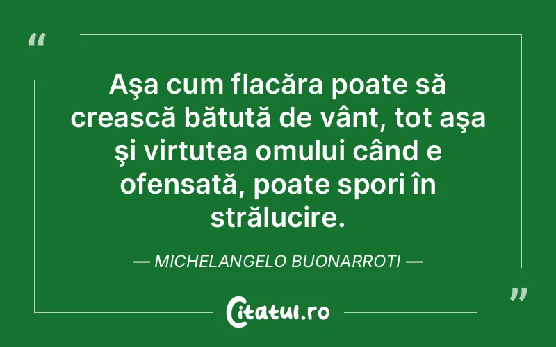 Citat Michelangelo Buonarroti - citate oameni