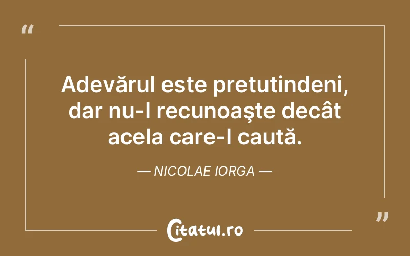 Citat Nicolae Iorga - citate oameni