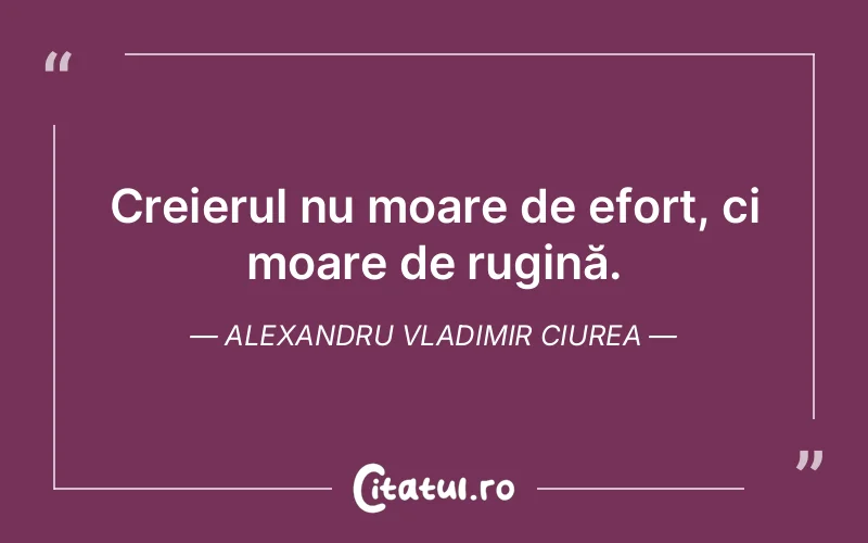 Citat Alexandru Vladimir Ciurea - citate oameni