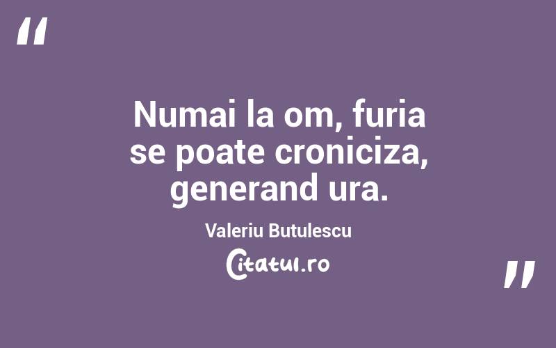Numai la om, furia se poate croniciza, generand ura. Valeriu Butulescu