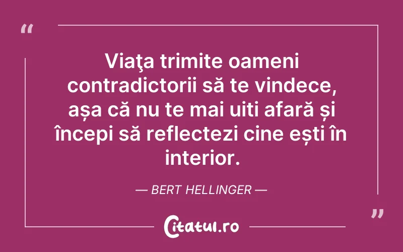 Viaţa trimite oameni contradictorii să te vindece, așa că nu te mai uiți afară și începi să reflectezi cine ești în interior. Bert Hellinger