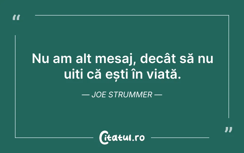 Nu am alt mesaj, decât să nu uiți că ești în viață. Joe Strummer