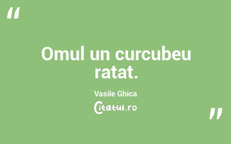 Omul un curcubeu ratat. Vasile Ghica