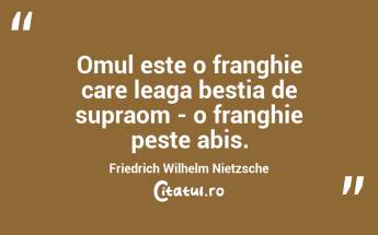 Omul este o franghie care leaga bestia de supraom - o franghie peste abis. Friedrich Wilhelm Nietzsche...