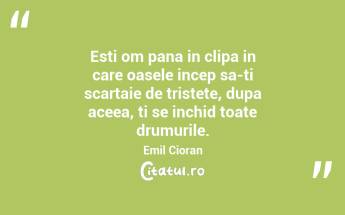 Esti om pana in clipa in care oasele incep sa-ti scartaie de tristete, dupa aceea, ti se inchid toate drumurile. Emil Cioran...