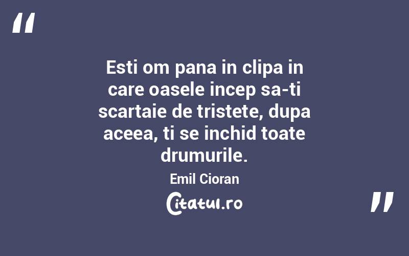 Esti om pana in clipa in care oasele incep sa-ti scartaie de tristete, dupa aceea, ti se inchid toate drumurile. Emil Cioran
