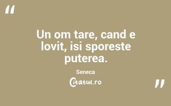 Un om tare, cand e lovit, isi sporeste puterea. Seneca...