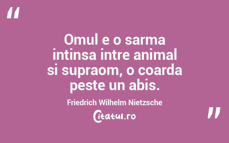 Omul e o sarma intinsa intre animal si supraom, o coarda peste un abis. Friedrich Wilhelm Nietzsche
