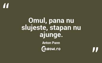 Omul, pana nu slujeste, stapan nu ajunge. Anton Pann...