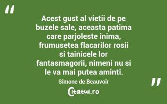 Acest gust al vietii de pe buzele sale, aceasta patima care parjoleste inima, frumusetea flacarilor rosii si tainicele lor fantasmagorii, nimeni nu si le va mai putea aminti. Simone de Beauvoir...