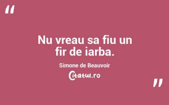 Nu vreau sa fiu un fir de iarba. Simone de Beauvoir...