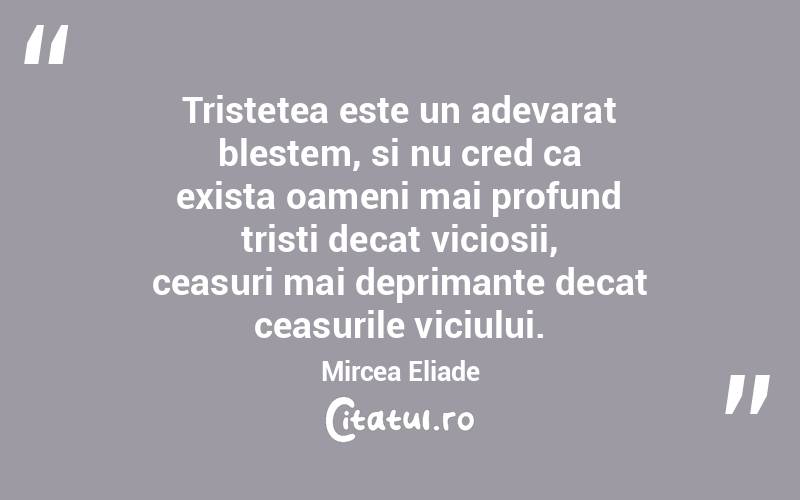 Tristetea este un adevarat blestem, si nu cred ca exista oameni mai profund tristi decat viciosii, ceasuri mai deprimante decat ceasurile viciului. Mircea Eliade
