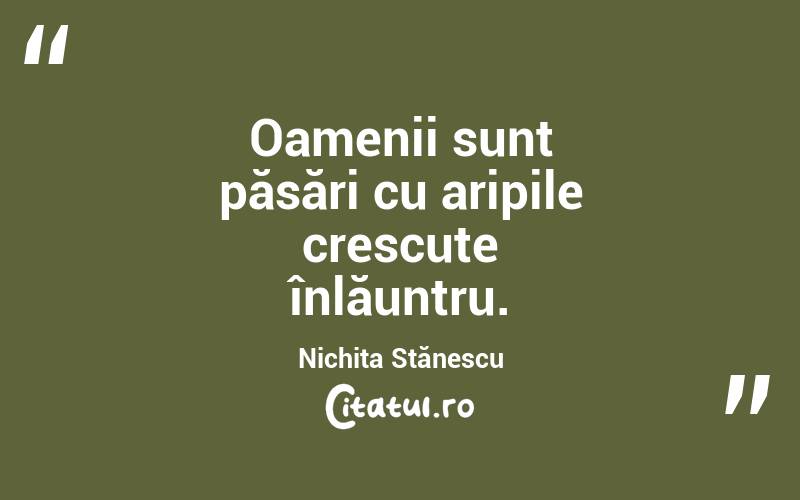 Oamenii sunt păsări cu aripile crescute înlăuntru. Nichita Stănescu