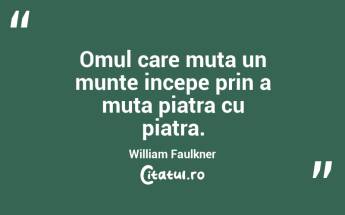 Omul care muta un munte incepe prin a muta piatra cu piatra. William Faulkner...