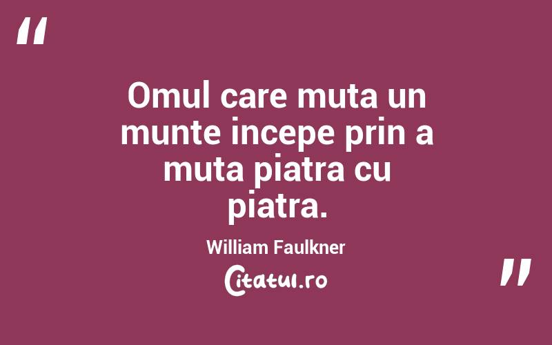 Omul care muta un munte incepe prin a muta piatra cu piatra. William Faulkner
