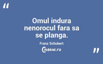  Omul indura nenorocul fara sa se planga. Franz Schubert...