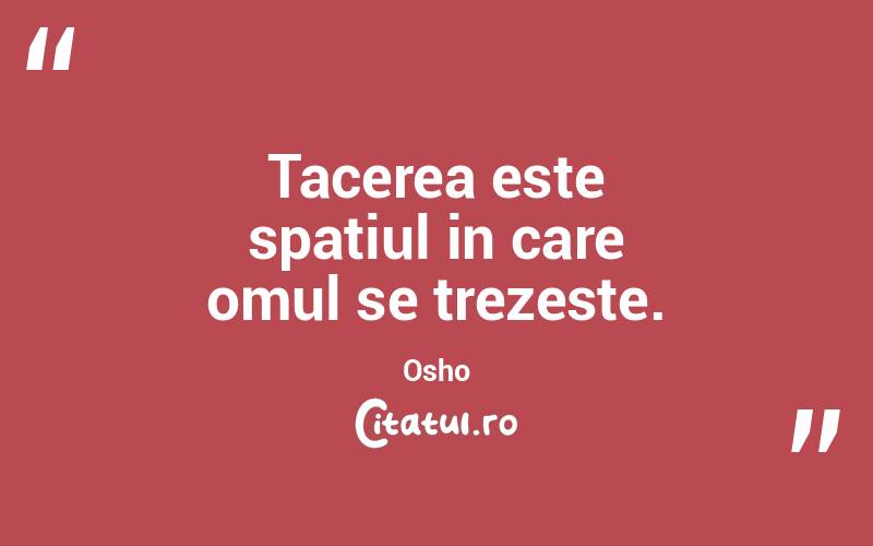 Tacerea este spatiul in care omul se trezeste. Osho
