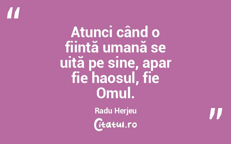 Atunci când o ființă umană se uită pe sine, apar fie haosul, fie Omul. Radu Herjeu
