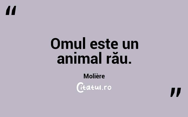 Omul este un animal rău. Molière
