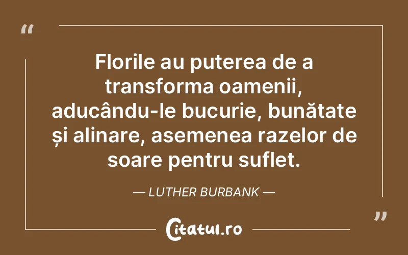 Florile au puterea de a transforma oamenii, aducându-le bucurie, bunătate și alinare, asemenea razelor de soare pentru suflet. Luther Burbank