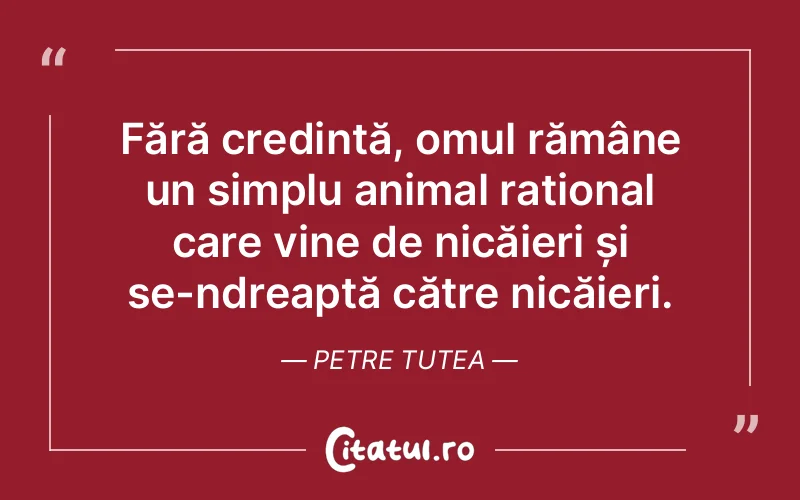 Fără credință, omul rămâne un simplu animal rațional care vine de nicăieri și se-ndreaptă către nicăieri. Petre Tutea