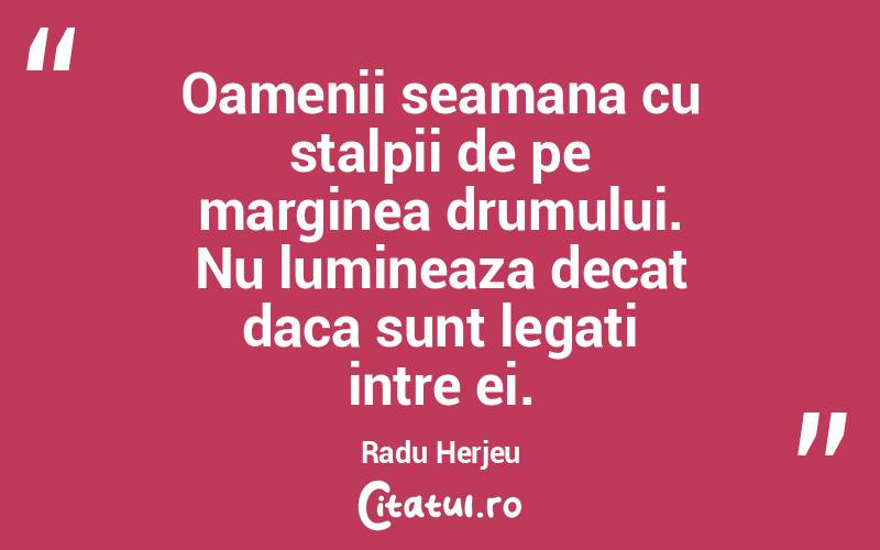 Oamenii seamana cu stalpii de pe marginea drumului. Nu lumineaza decat daca sunt legati intre ei. Radu Herjeu
