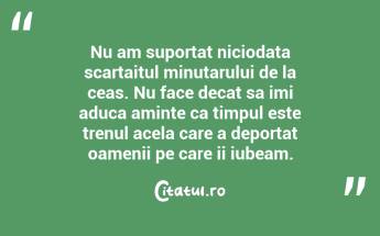 Nu am suportat niciodata scartaitul minutarului de la ceas. Nu face decat sa imi aduca aminte ca timpul este trenul acela care a deportat oamenii pe care ii iubeam. ...