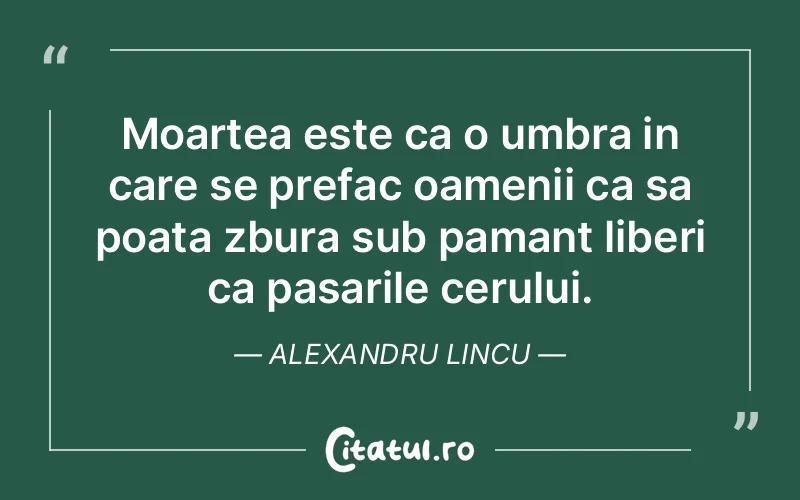 Citat Alexandru Lincu - citate oameni