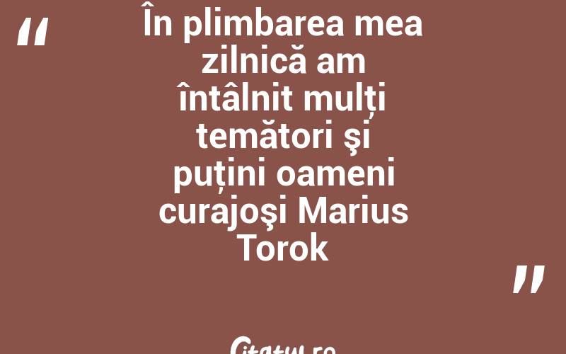 În plimbarea mea zilnică am întâlnit mulţi temători şi puţini oameni curajoşi Marius Torok
