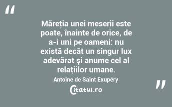  Măreţia unei meserii este poate, înainte de orice, de a-i uni pe oameni: nu există decât un singur lux adevărat şi anume cel al relaţiilor umane. Antoine de Saint Exupéry...