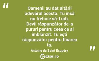  Oamenii au dat uitării adevărul acesta. Tu însă nu trebuie să-l uiţi. Devii răspunzător de-a pururi pentru ceea ce ai îmblânzit. Tu eşti răspunzător pentru floarea ta. Antoine de Saint Exupéry...