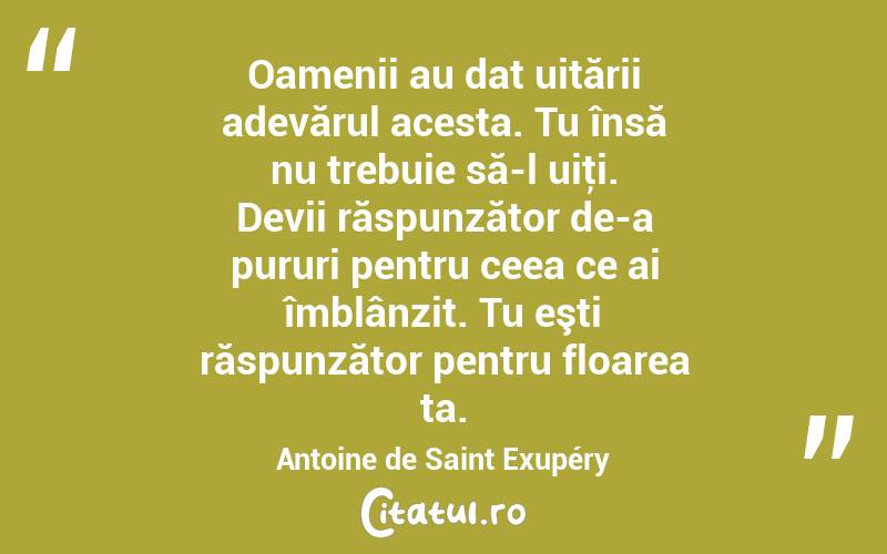  Oamenii au dat uitării adevărul acesta. Tu însă nu trebuie să-l uiţi. Devii răspunzător de-a pururi pentru ceea ce ai îmblânzit. Tu eşti răspunzător pentru floarea ta. Antoine de Saint Exupéry
