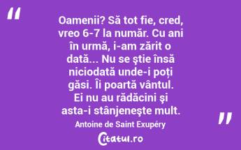 Oamenii? Să tot fie, cred, vreo 6-7 la număr. Cu ani în urmă, i-am zărit o dată... Nu se ştie însă niciodată unde-i poţi găsi. Îi poartă vântul. Ei nu au rădăcini şi asta-i stânjeneşte mult. Antoine de Saint Exupéry...