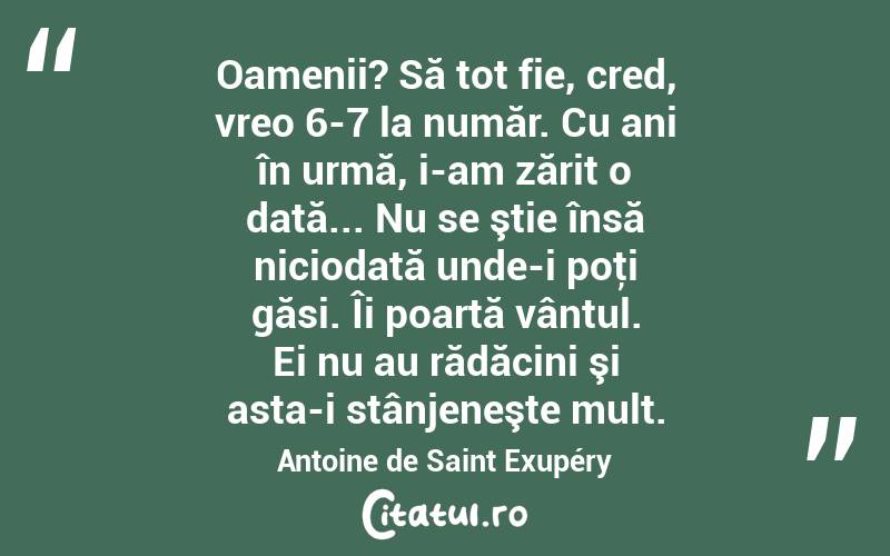 Oamenii? Să tot fie, cred, vreo 6-7 la număr. Cu ani în urmă, i-am zărit o dată... Nu se ştie însă niciodată unde-i poţi găsi. Îi poartă vântul. Ei nu au rădăcini şi asta-i stânjeneşte mult. Antoine de Saint Exupéry
