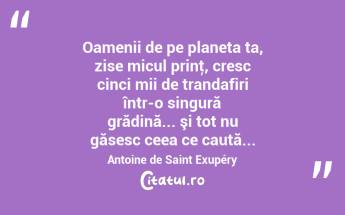 Oamenii de pe planeta ta, zise micul prinţ, cresc cinci mii de trandafiri într-o singură grădină... şi tot nu găsesc ceea ce caută... Antoine de Saint Exupéry...