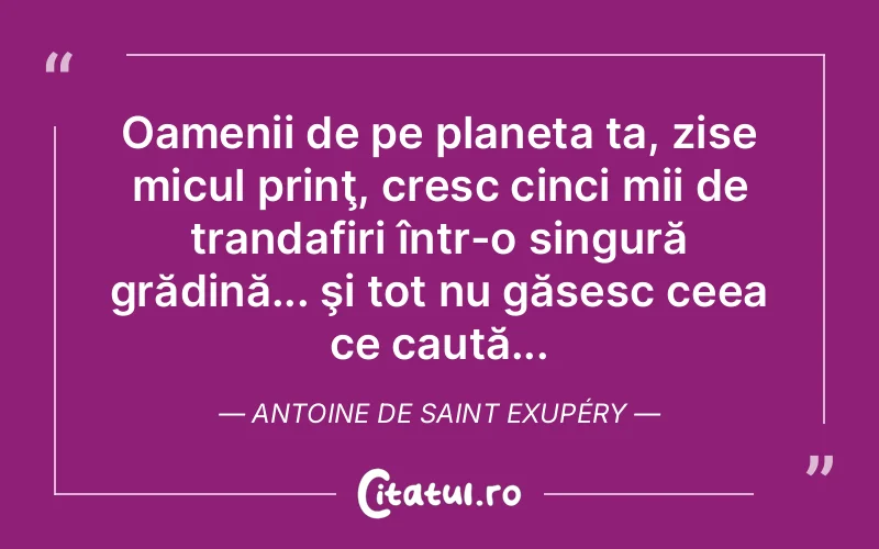 Oamenii de pe planeta ta, zise micul prinţ, cresc cinci mii de trandafiri într-o singură grădină... şi tot nu găsesc ceea ce caută... Antoine de Saint Exupéry