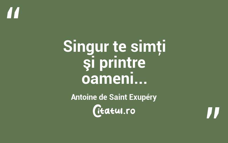 Singur te simţi şi printre oameni... Antoine de Saint Exupéry
