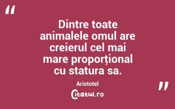 Dintre toate animalele omul are creierul cel mai mare proporţional cu statura sa. Aristotel...