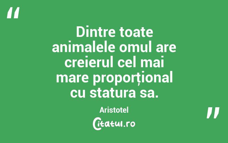 Dintre toate animalele omul are creierul cel mai mare proporţional cu statura sa. Aristotel