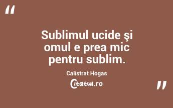 Sublimul ucide şi omul e prea mic pentru sublim. Calistrat Hogas...