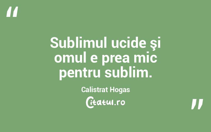Sublimul ucide şi omul e prea mic pentru sublim. Calistrat Hogas
