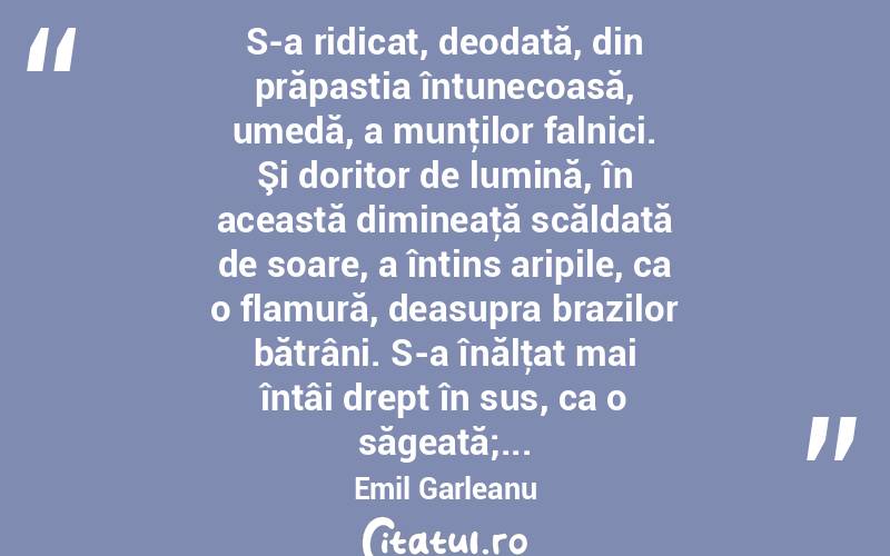  S-a ridicat, deodată, din prăpastia întunecoasă, umedă, a munţilor falnici. Şi doritor de lumină, în această dimineaţă scăldată de soare, a întins aripile, ca o flamură, deasupra brazilor bătrâni. S-a înălţat mai întâi drept în sus, ca o săgeată;... Emil Garleanu
