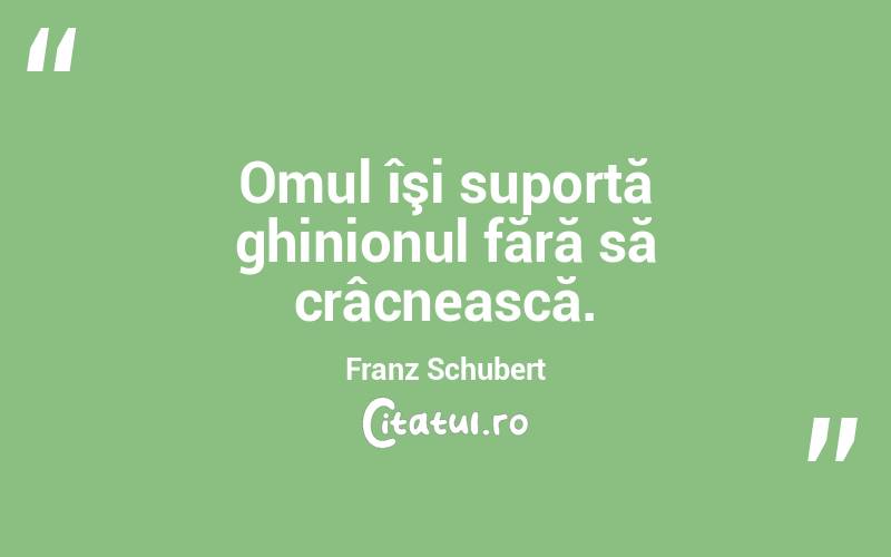 Omul îşi suportă ghinionul fără să crâcnească. Franz Schubert
